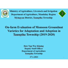 "နှစ်သိမ့်ဆုရ တက်သစ်စပညာရှင်စာတမ်း" On-farm Evaluation of Monsoon Groundnut  Varieties for Adaptation and Adoption in  Taungtha Township (2019-2020)