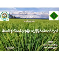 မိုးစပါးစိုက်စနစ်(၄)မျိုး ယှဉ်ပြိုင်စမ်းသပ်ကွက်