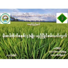 မိုးစပါးစိုက်စနစ်(၄)မျိုး ယှဉ်ပြိုင်စမ်းသပ်ကွက်