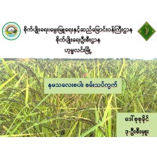 နမသလေးစပါး စမ်းသပ်ကွက်