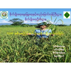 CERP အစီအစဉ်ဖြင့် စပါးမျိုးစေ့စိုက်ပျိုးထုတ်လုပ်ခြင်း