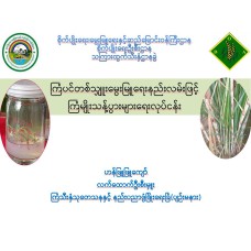 ကြံပင်တစ်သျှူးမွေးမြူရေးနည်းလမ်းဖြင့် ကြံမျိုးသန့်ပွားများရေးလုပ်ငန်း