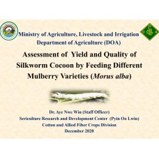 "နှစ်သိမ့်ဆုရ အတွေ့အကြုံကောင်းပညာရှင်စာတမ်း" Assessment of Yield and Quality of  Silkworm Cocoon by Feeding Different  Mulberry Varieties (Morus alba)