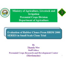 "တတိယဆုရ အတွေ့အကြုံကောင်းပညာရှင်စာတမ်း" Evaluation of Rubber Clones From RRIM 2000 SERIES in Small Scale Clone Trial