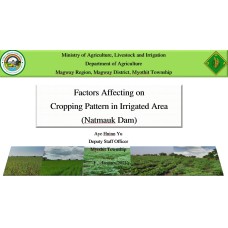 Factors Affecting on Cropping Pattern in Irrigated Area (Natmauk Dam)