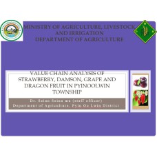 "တတိယဆုရ သုတေသနလုပ်ငန်းစီမံချက်" Value Chain Analysis of STRAWBERRY, DAMSON, GRAPE And DRAGON FRUIT IN PYINOOLWIN Township