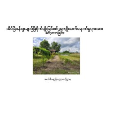 အိမ်ခြံဝန်းဥယျာဉ်ခြံစိုက်ပျိုးခြင်း၏အကျိုးသက်ရောက်မှုအားလေ့လာခြင်း