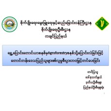 ရွှေ့ပြောင်းတောင်ယာစနစ်မှAgroforestryစနစ်သို့ပြောင်းလဲခြင်းဖြင့် တောင်တန်းဒေသပြည်သူများ၏လူမှုစီးပွားဘဝမြှင့်တင်ပေးခြင်း