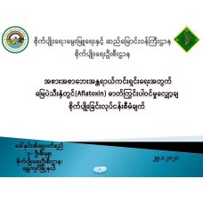 အစားအစာဘေးအန္တရာယ်ကင်းရှင်းရေးအတွက် မြေပဲသီးနှံတွင်(Aflatoxin) ဓာတ်ကြွင်းပါဝင်မှုလျှော့ချ စိုက်ပျိုးခြင်းလုပ်ငန်းစီမံချက်