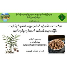 20_D1_5th